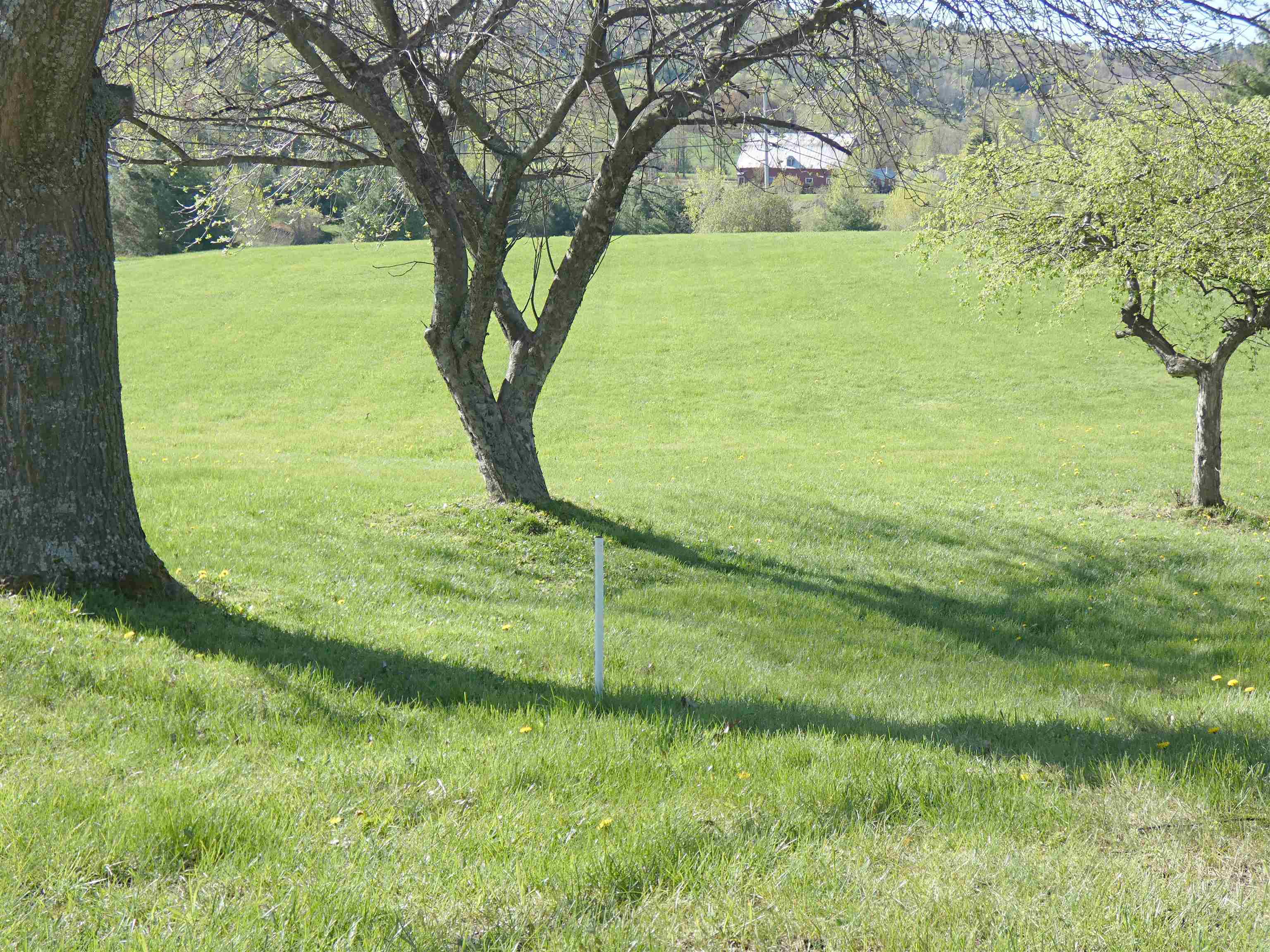 41 Whispering Pines Road Derby, VT 05855 - Photo 10 of 12