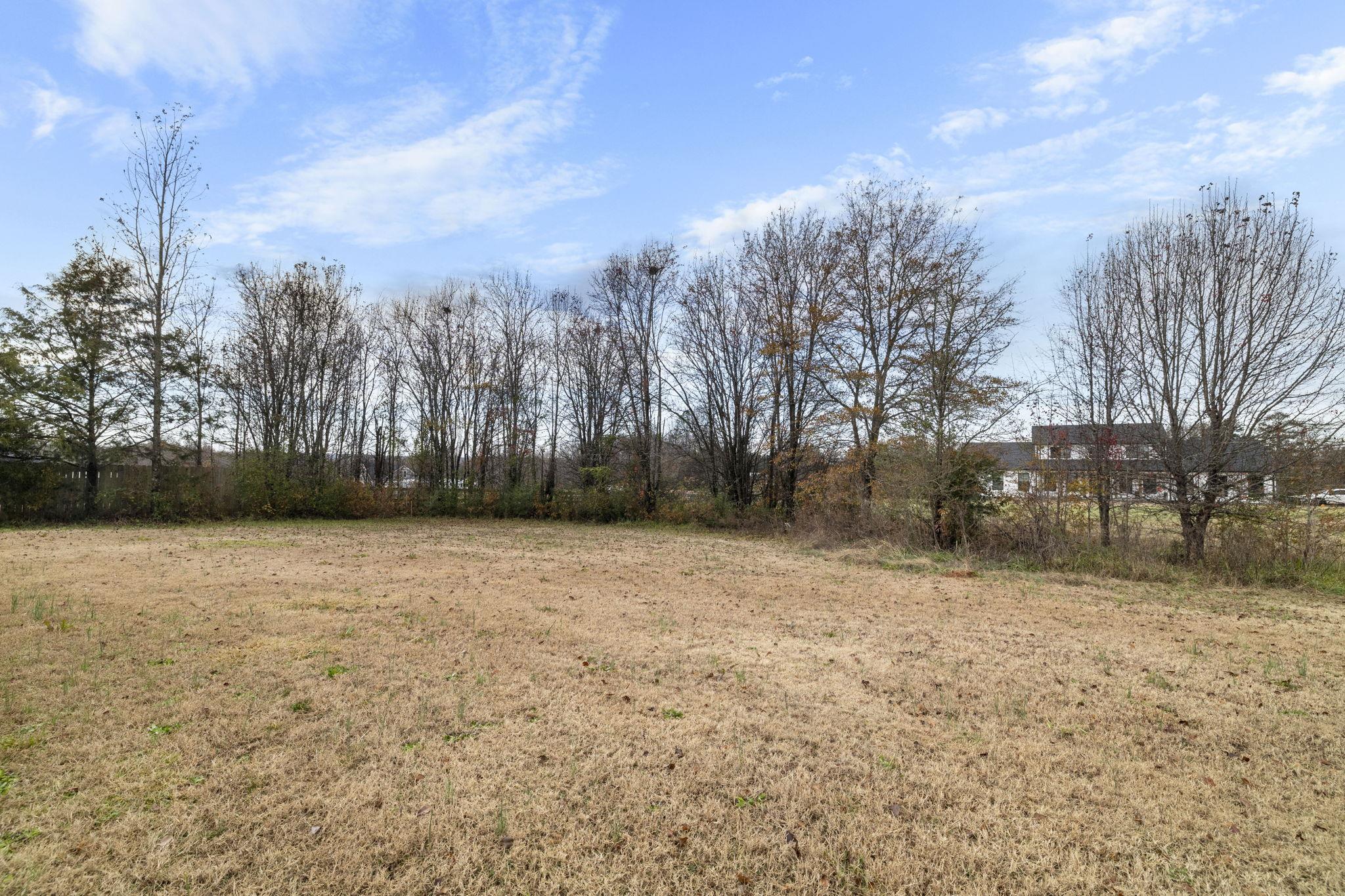 949 Pearson Town Road Moore, SC 29369 - Photo 30 of 37 Gallery Image 30
