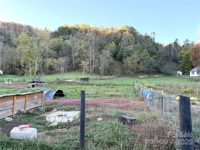 a view of a park with large trees