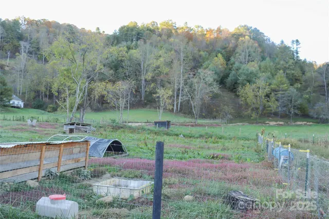 a view of a garden with a tree