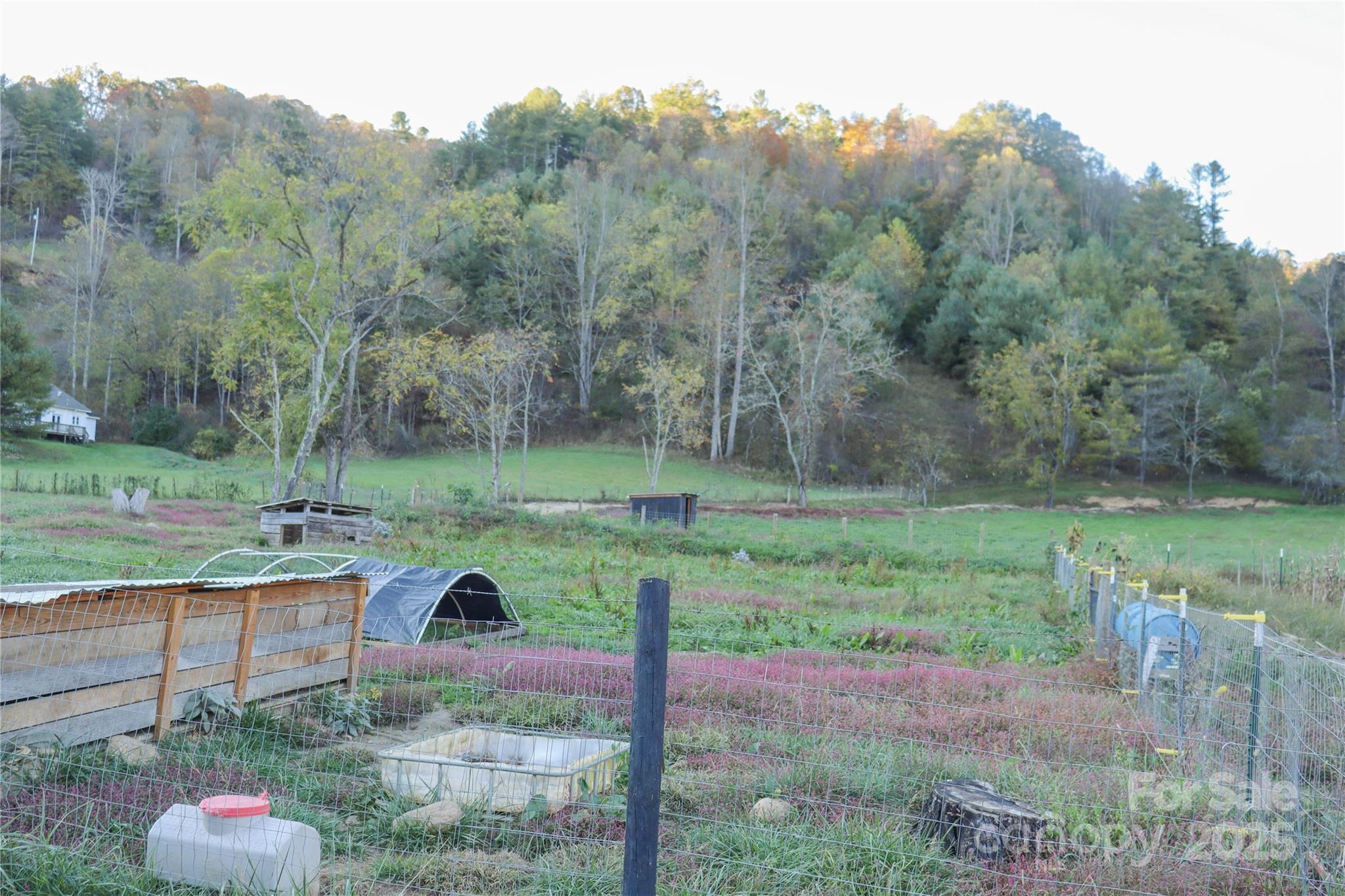 718 Bald Mountain Road Burnsville, NC 28714 - Photo 31 of 37 a view of a garden with a tree