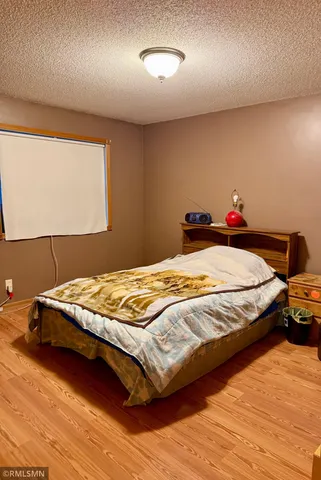 $229,000 | 101 Meadow Lane, Woodville, WI 54028