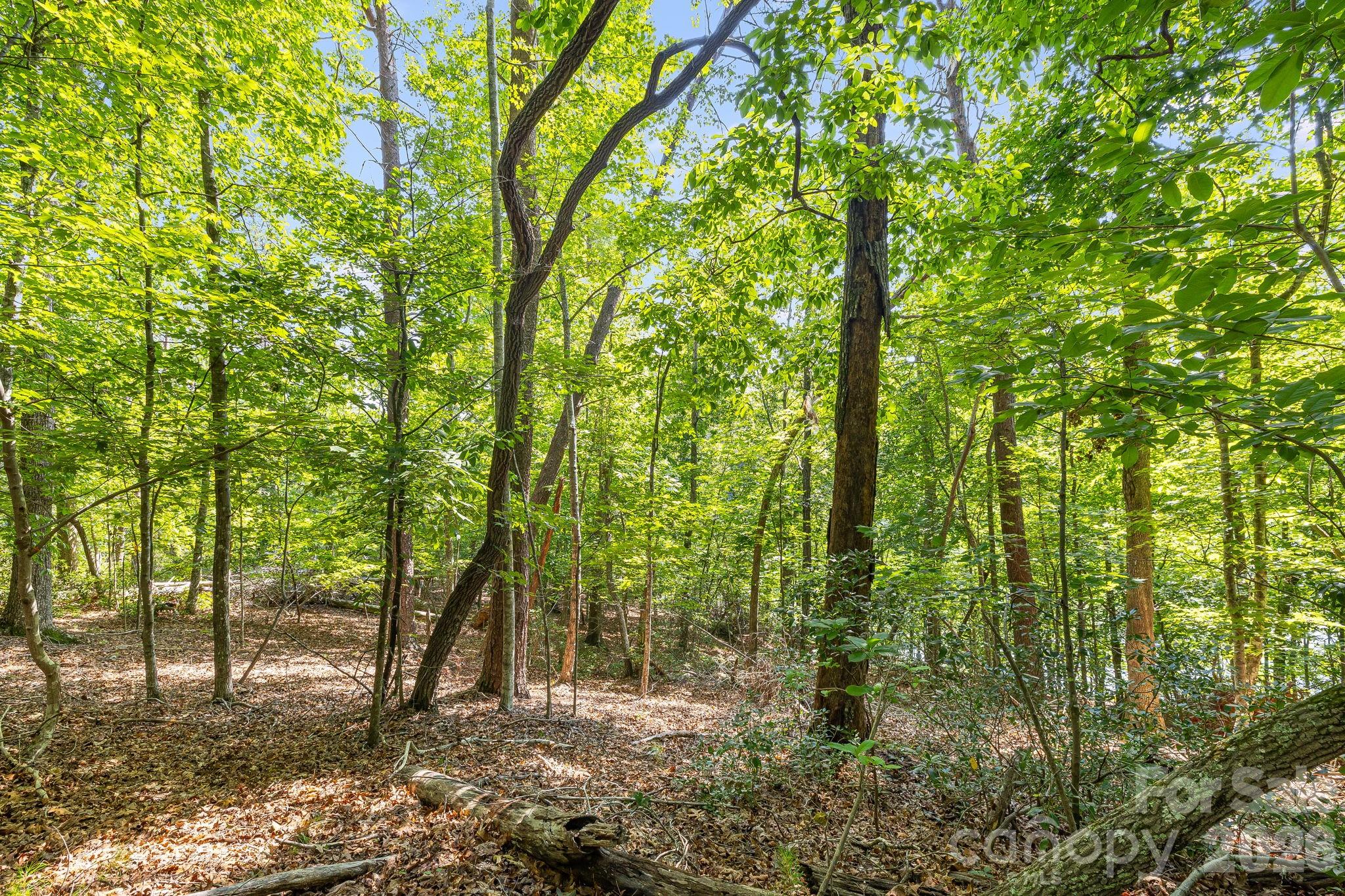 0 Canoe Drive, Unit 40 Mill Spring, NC 28756 - Photo 16 of 23