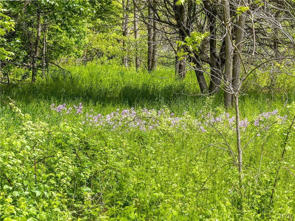 4 County Route Fulton, NY 13069 - Photo 29 of 37