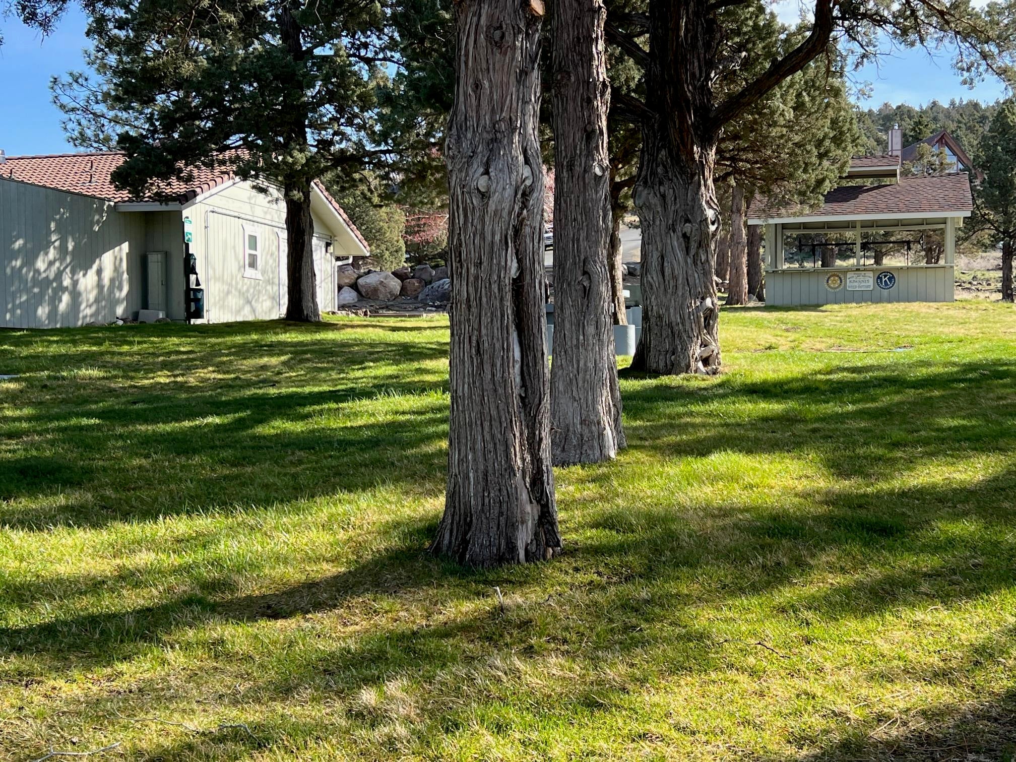 5-4 Unit Road Weed, CA 96094 - Photo 25 of 37 Gallery Image 25