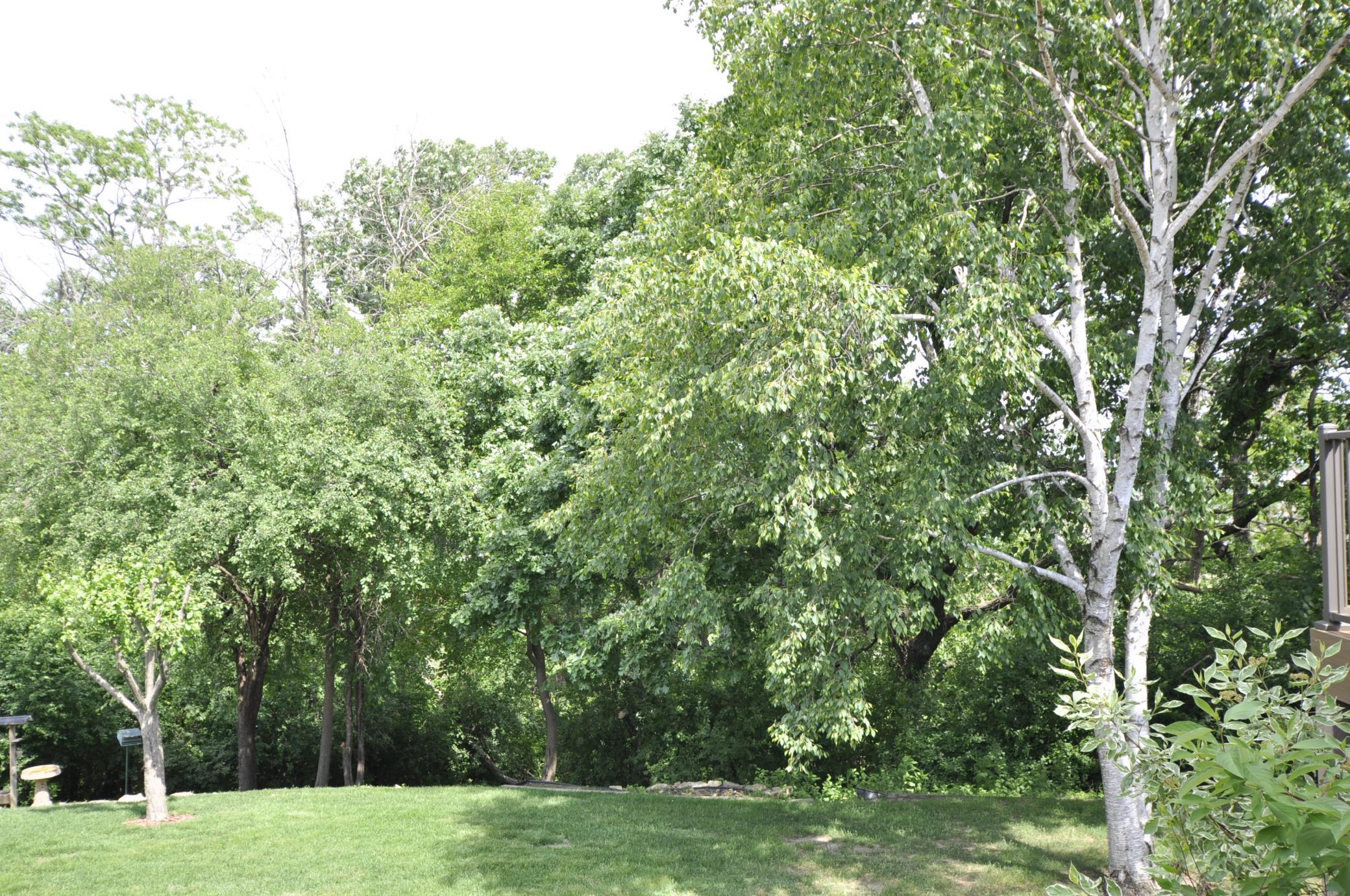 64 Conner Circle Southwest Rochester, MN 55902 - Photo 31 of 33
