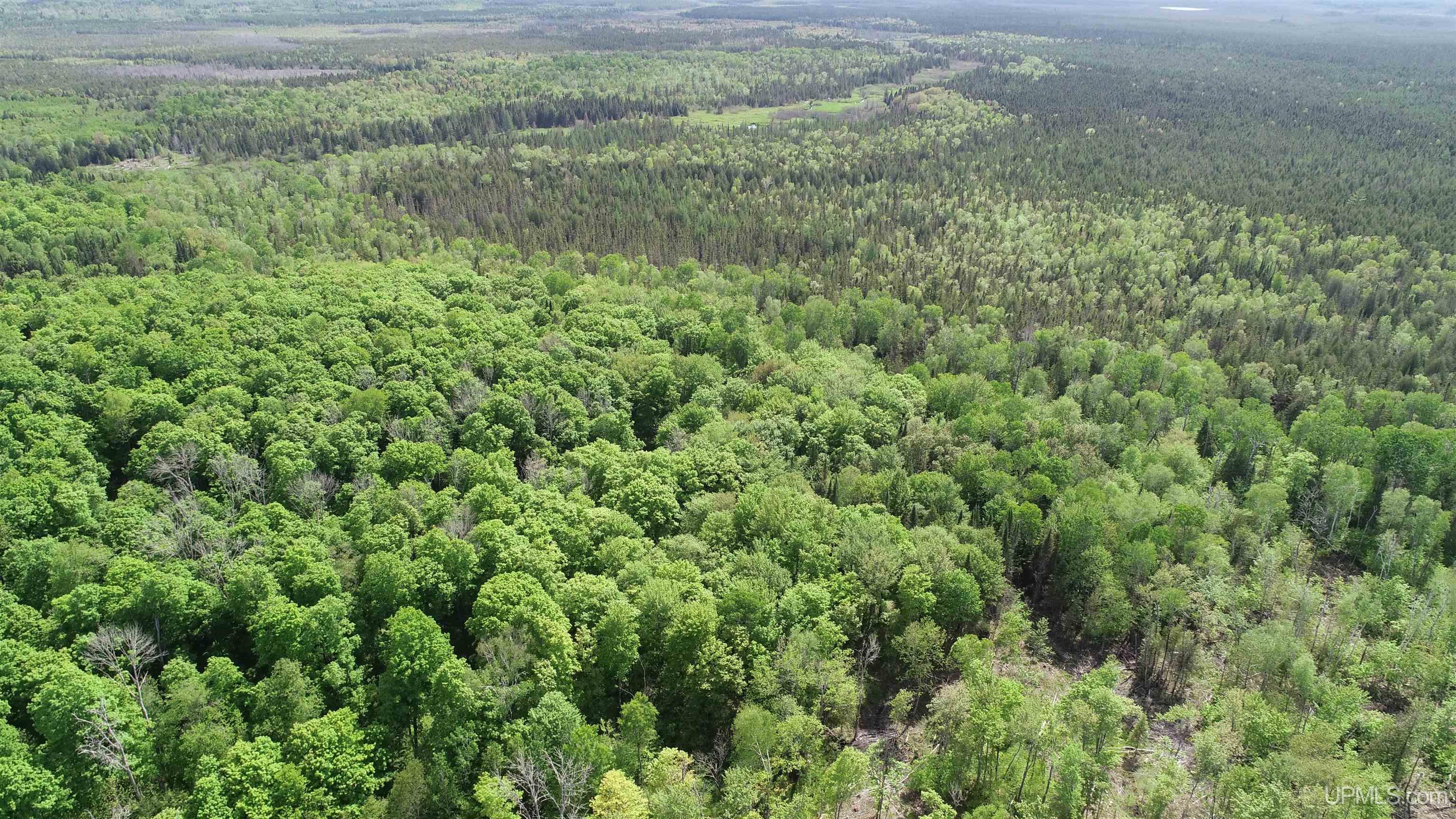 Tbd Tbd Banking Ground Road Germfask, MI 49836 - Photo 8 of 36