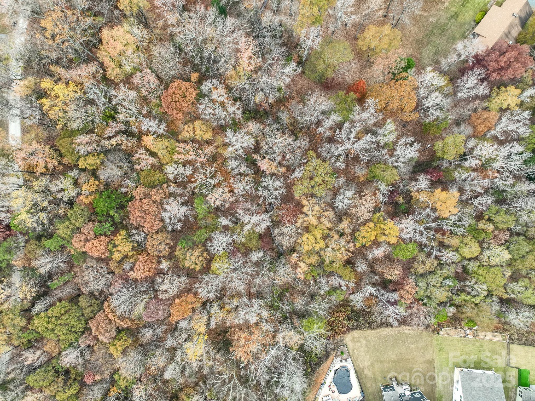 Tract B Stream Lane Indian Land, SC 29707 - Photo 12 of 13