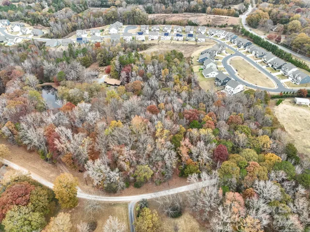 a view of water plant