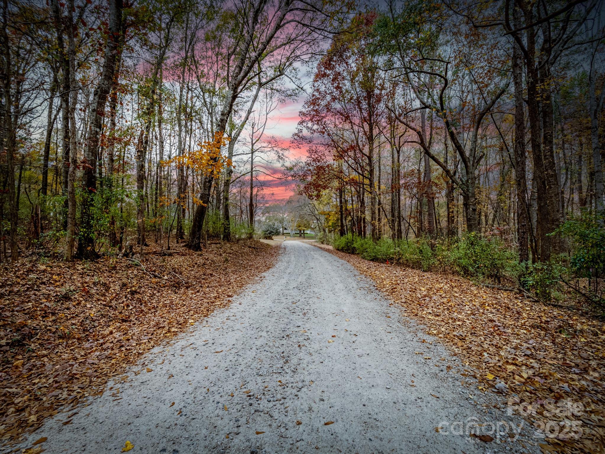 Tract B Stream Lane Indian Land, SC 29707 - Photo 4 of 13 a view of a backyard with large trees