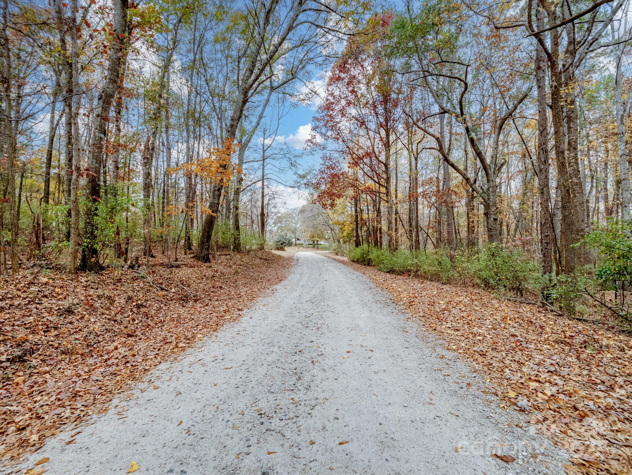 Tract B Stream Lane Indian Land, SC 29707 - Photo 5 of 13 a view of a backyard with large trees