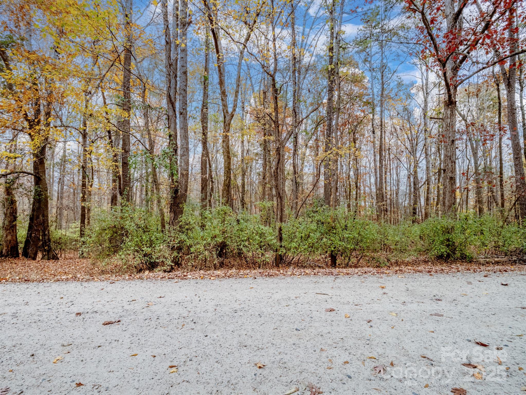 Tract B Stream Lane Indian Land, SC 29707 - Photo 6 of 13 a view of road and trees