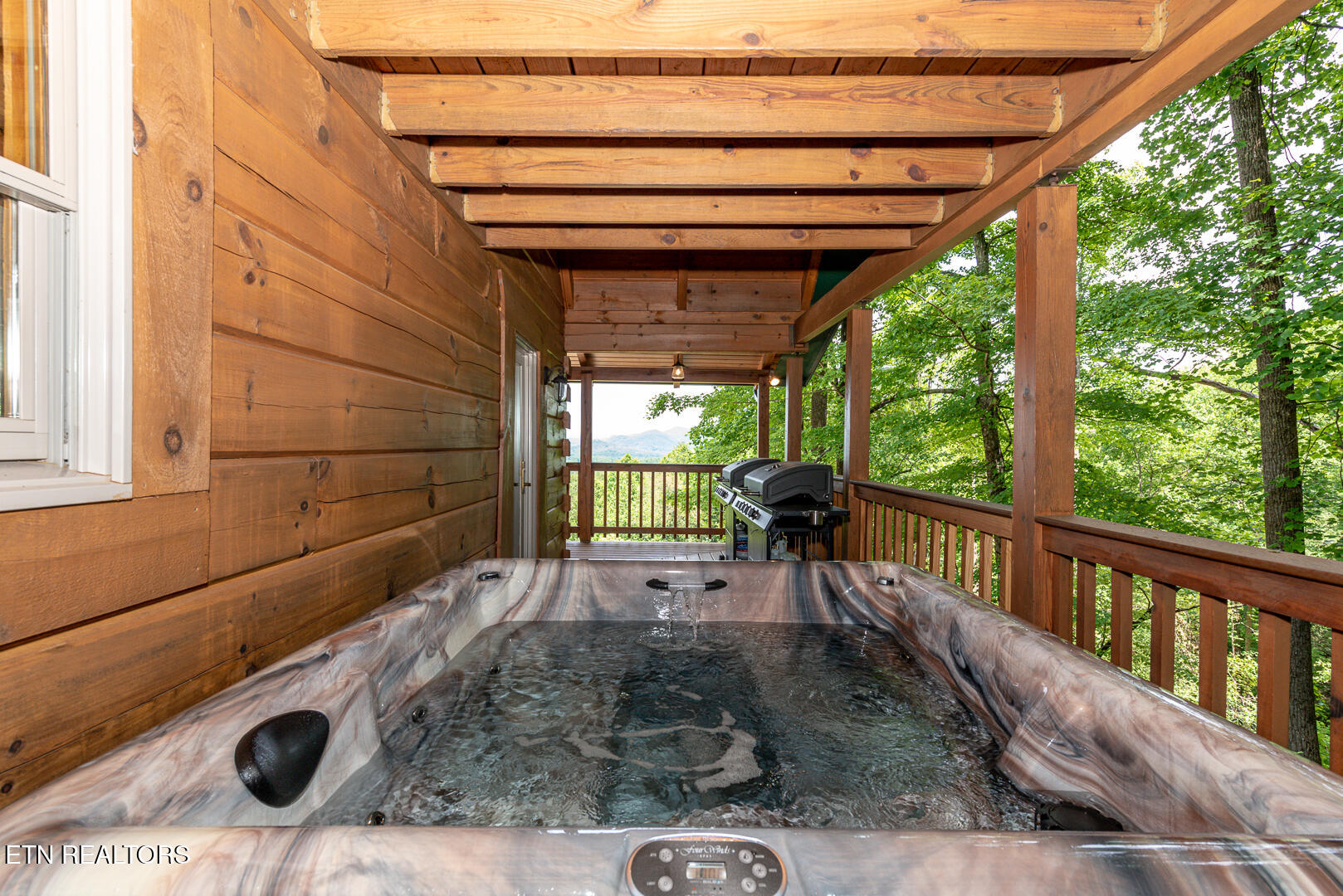 985 Old Cades Cove Road Townsend, TN 37882 - Photo 12 of 55 DSC_6377