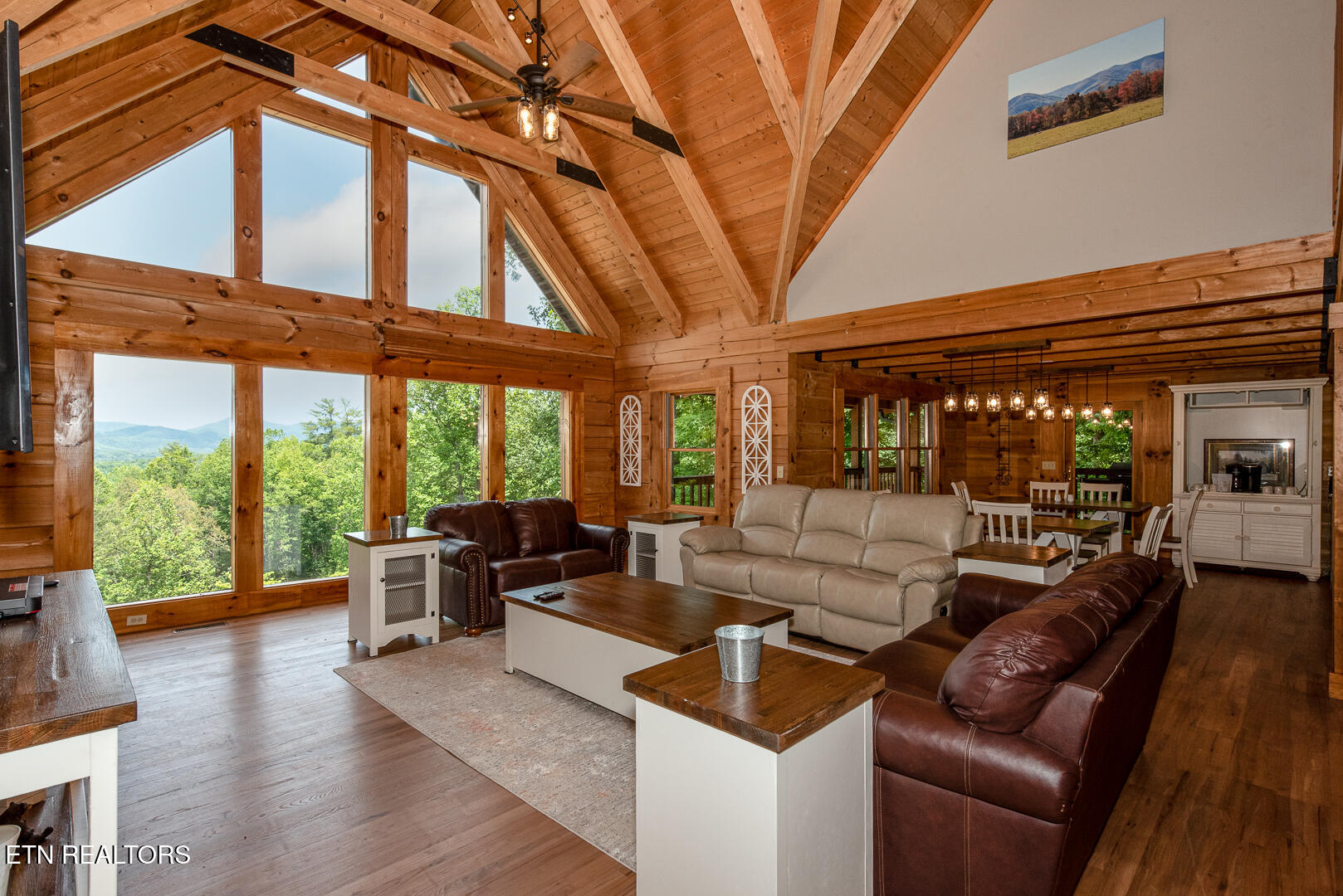 985 Old Cades Cove Road Townsend, TN 37882 - Photo 5 of 55 DSC_6362-Edit