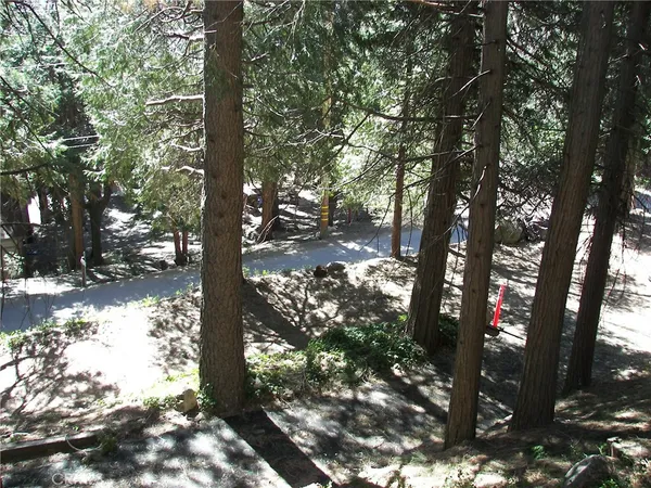 $2,300 | 21636 Sawpit Canyon Road, Cedarpines Park, CA 92322