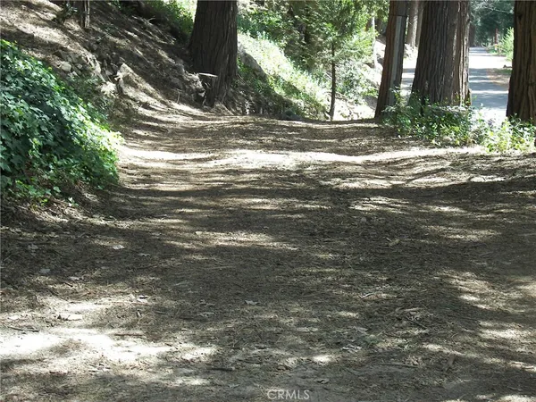$2,300 | 21636 Sawpit Canyon Road, Cedarpines Park, CA 92322