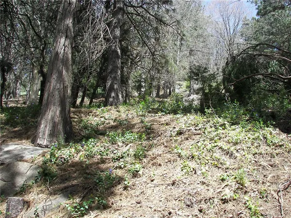 $2,300 | 21636 Sawpit Canyon Road, Cedarpines Park, CA 92322