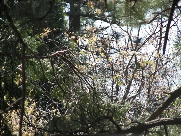 $2,300 | 21636 Sawpit Canyon Road, Cedarpines Park, CA 92322