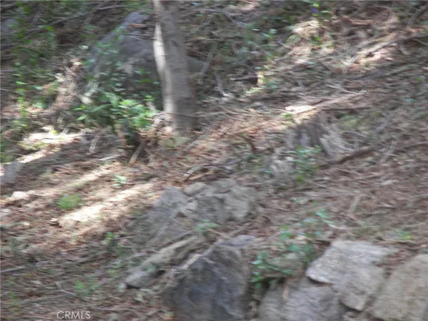 $2,300 | 21636 Sawpit Canyon Road, Cedarpines Park, CA 92322