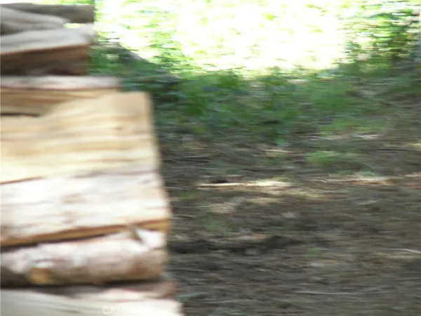 $2,300 | 21636 Sawpit Canyon Road, Cedarpines Park, CA 92322