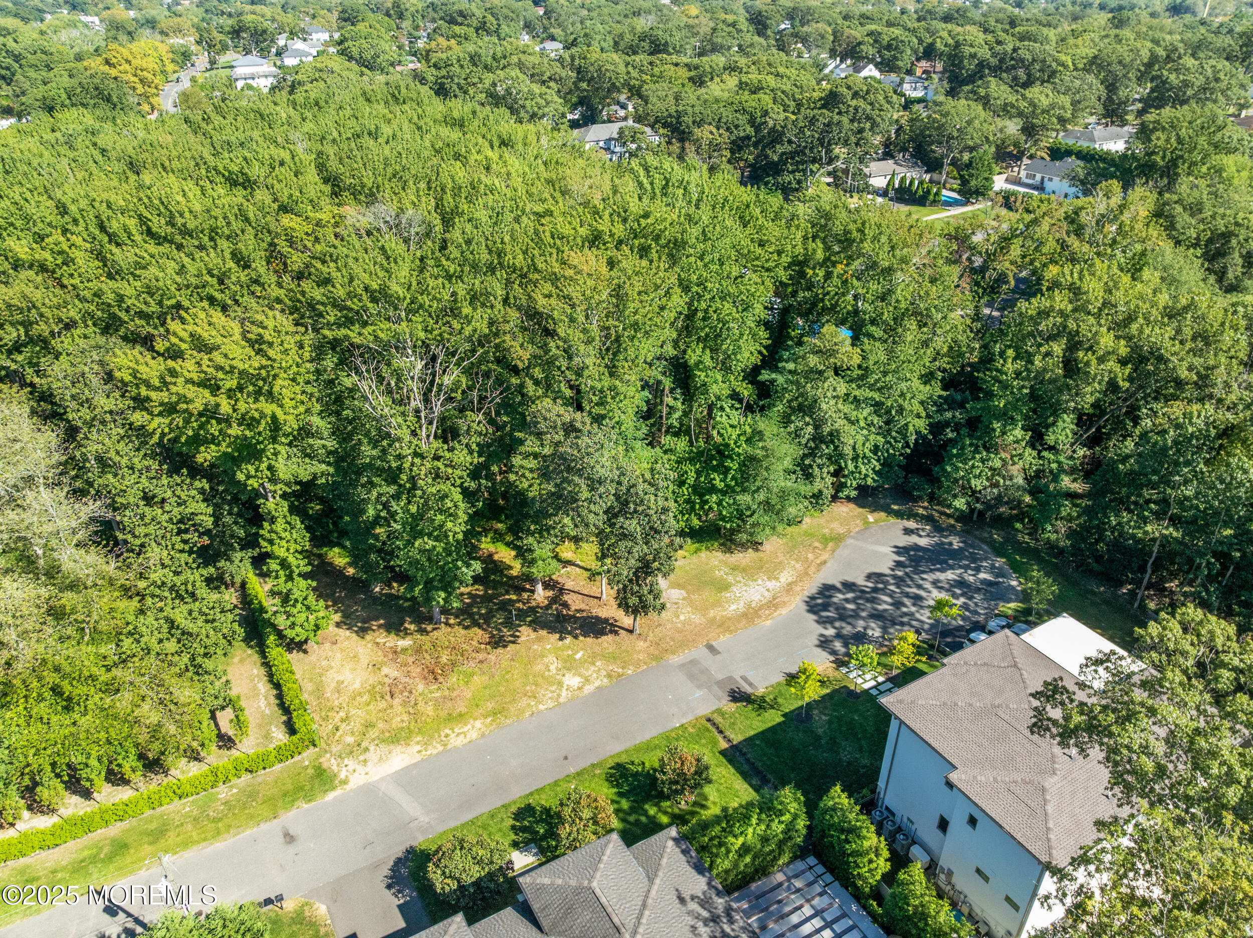 0 Adams Avenue Oakhurst, NJ 07755 - Photo 2 of 2 a view of a yard with plants and large trees