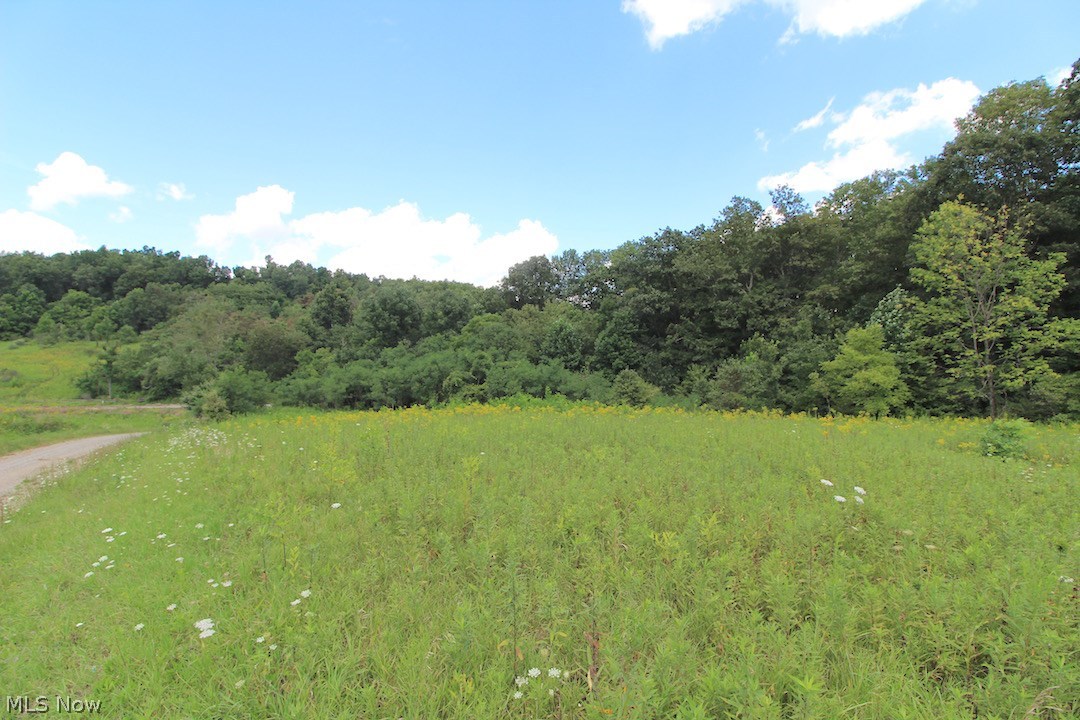 Delphi Road Freeport, OH 43973 - Photo 33 of 35 Gallery Image 33