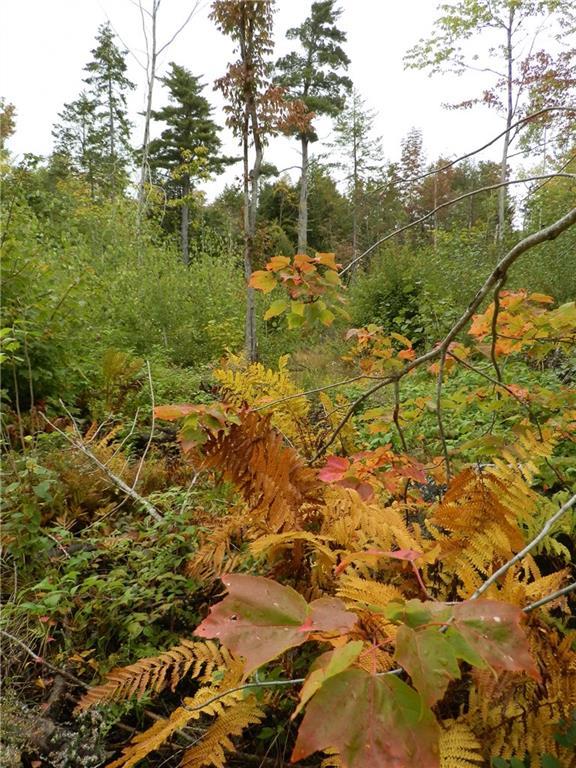 0 Wards Road Ellsworth, ME 04605 - Photo 27 of 29 Photo