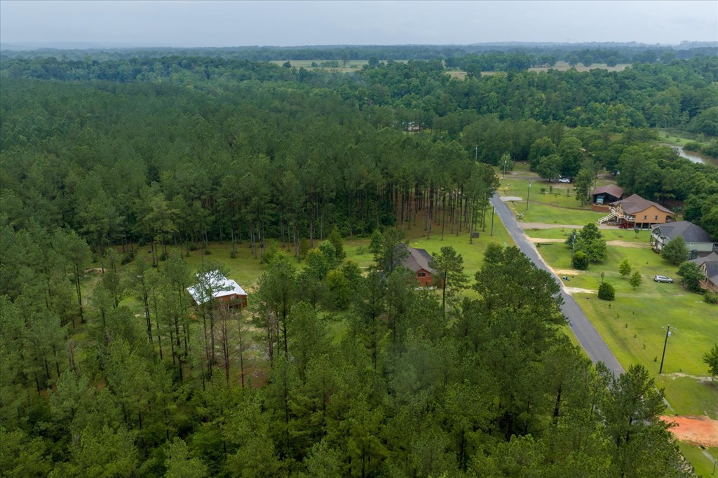 28786 Harbor Road Andalusia, AL 36421 - Photo 64 of 83