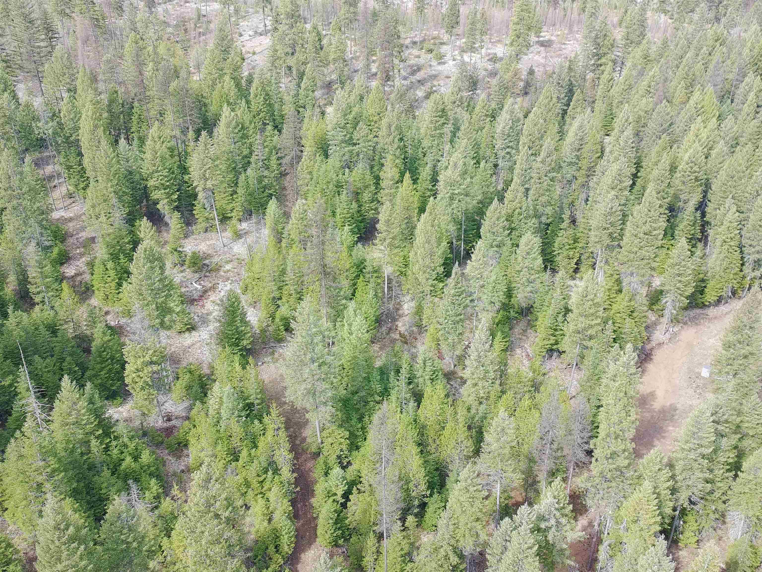 4910 Getna Way Springdale, WA 99173 - Photo 13 of 28