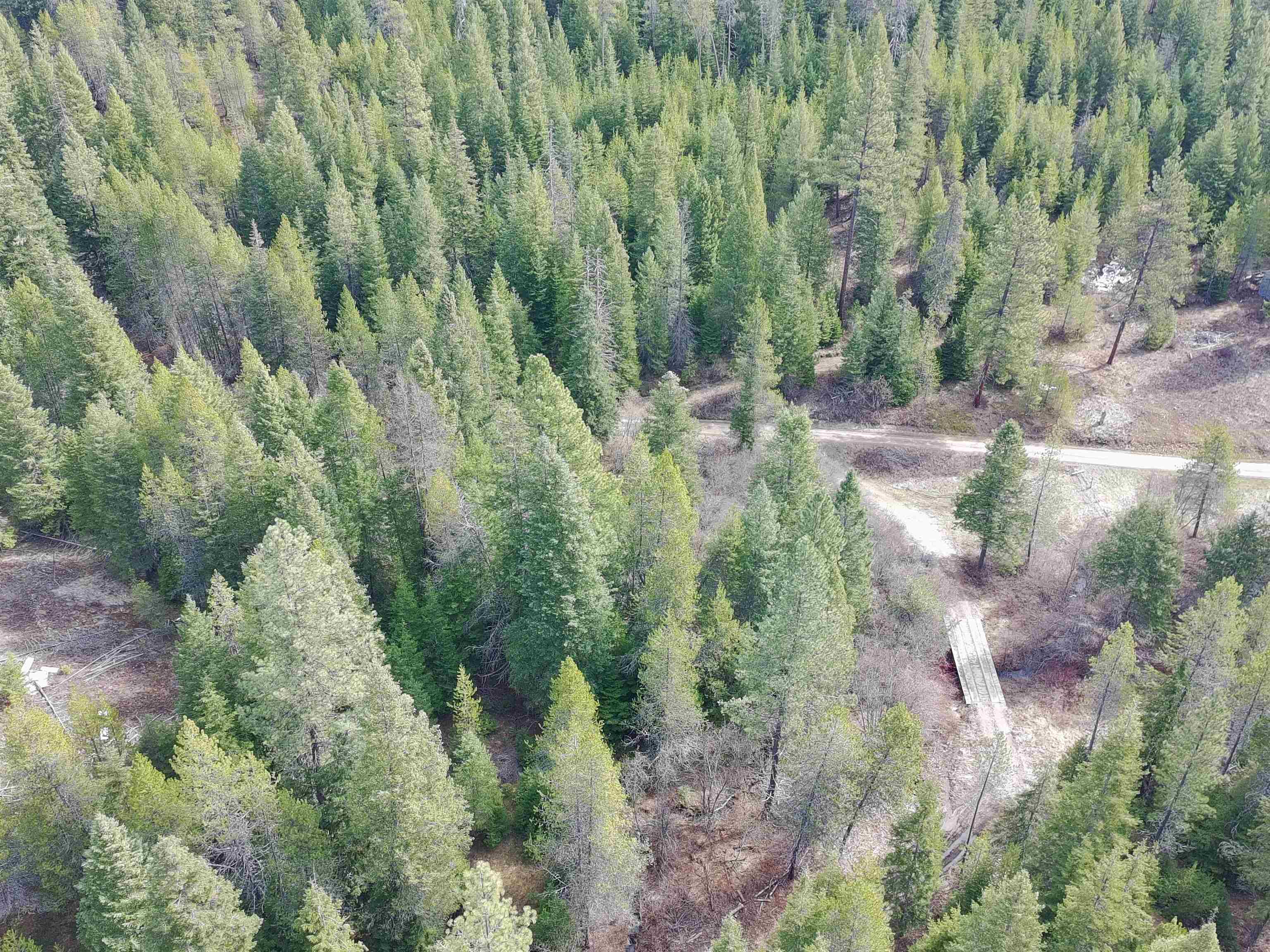 4910 Getna Way Springdale, WA 99173 - Photo 14 of 28