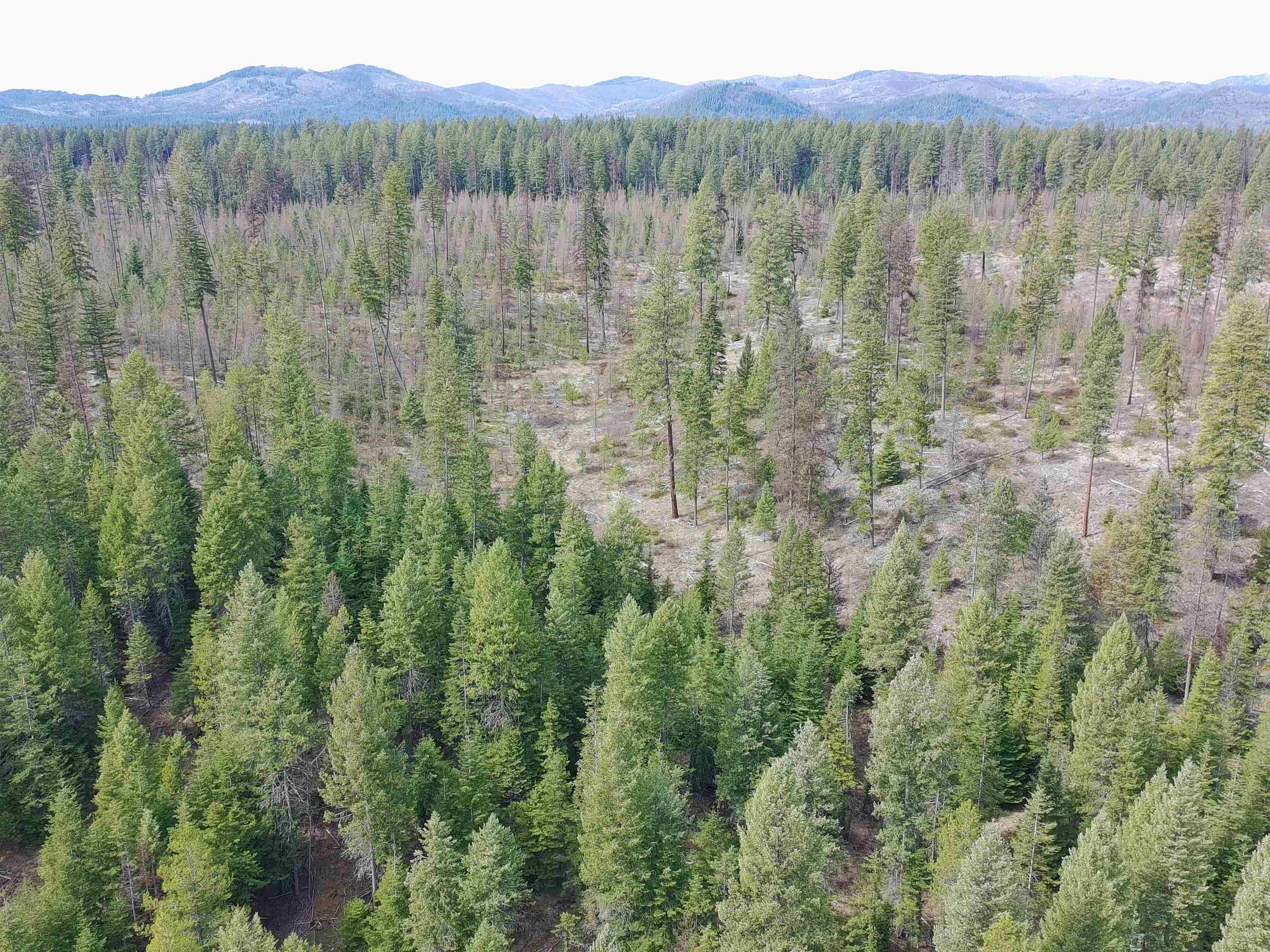 4910 Getna Way Springdale, WA 99173 - Photo 15 of 28