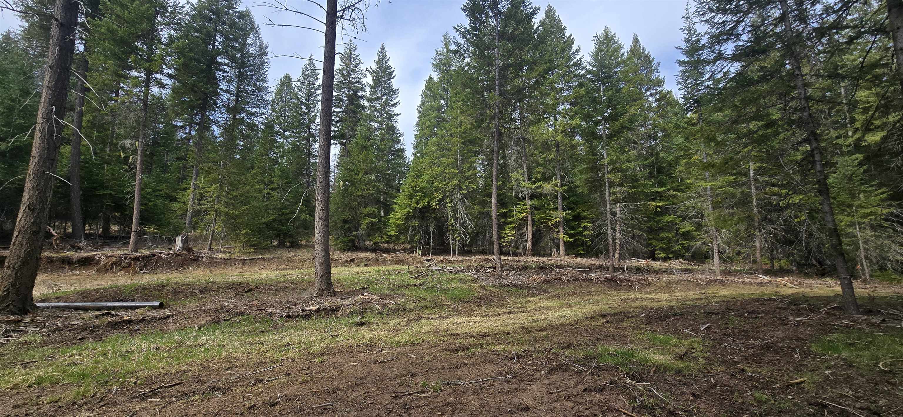 4910 Getna Way Springdale, WA 99173 - Photo 20 of 28
