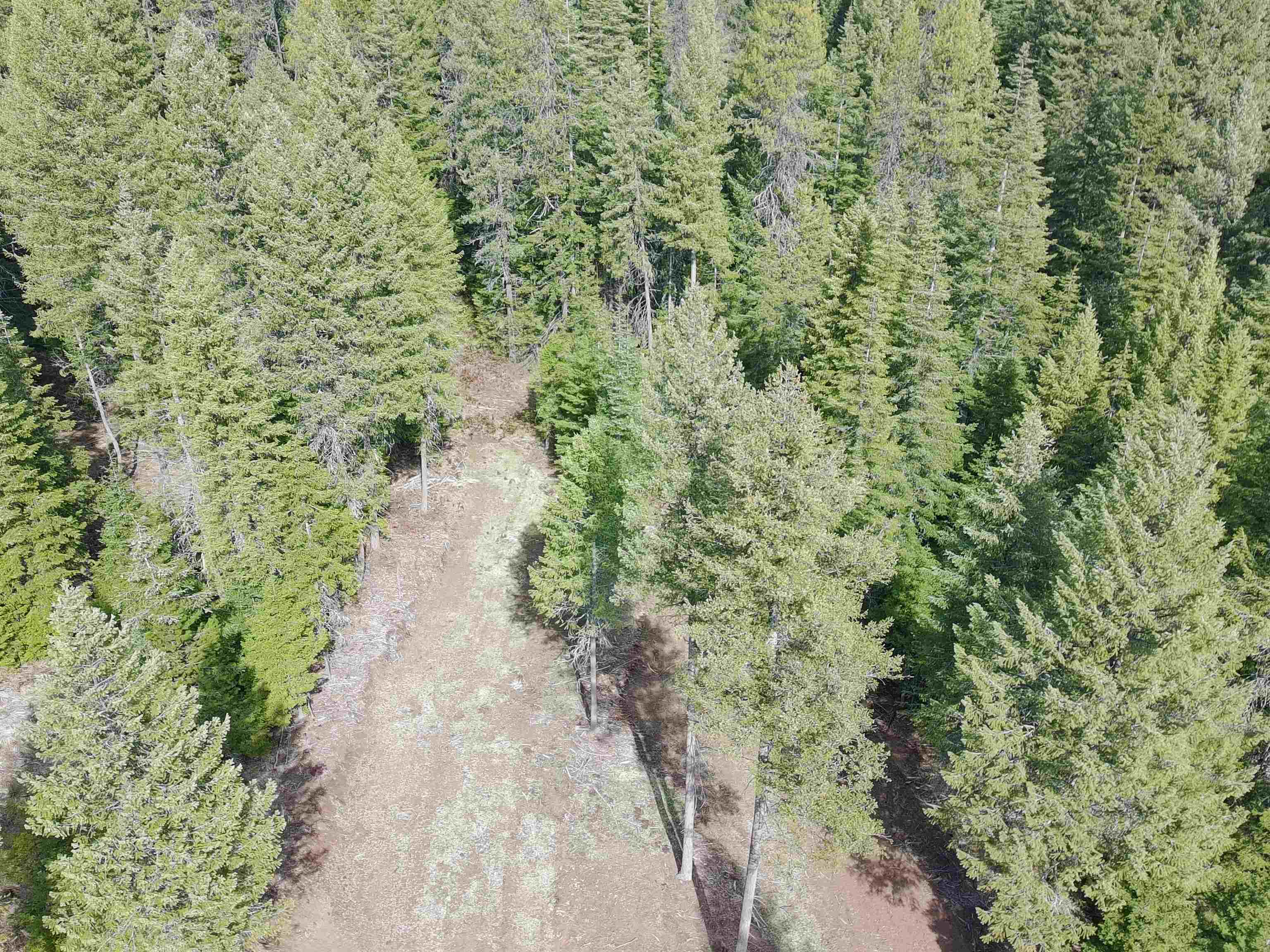 4910 Getna Way Springdale, WA 99173 - Photo 2 of 28
