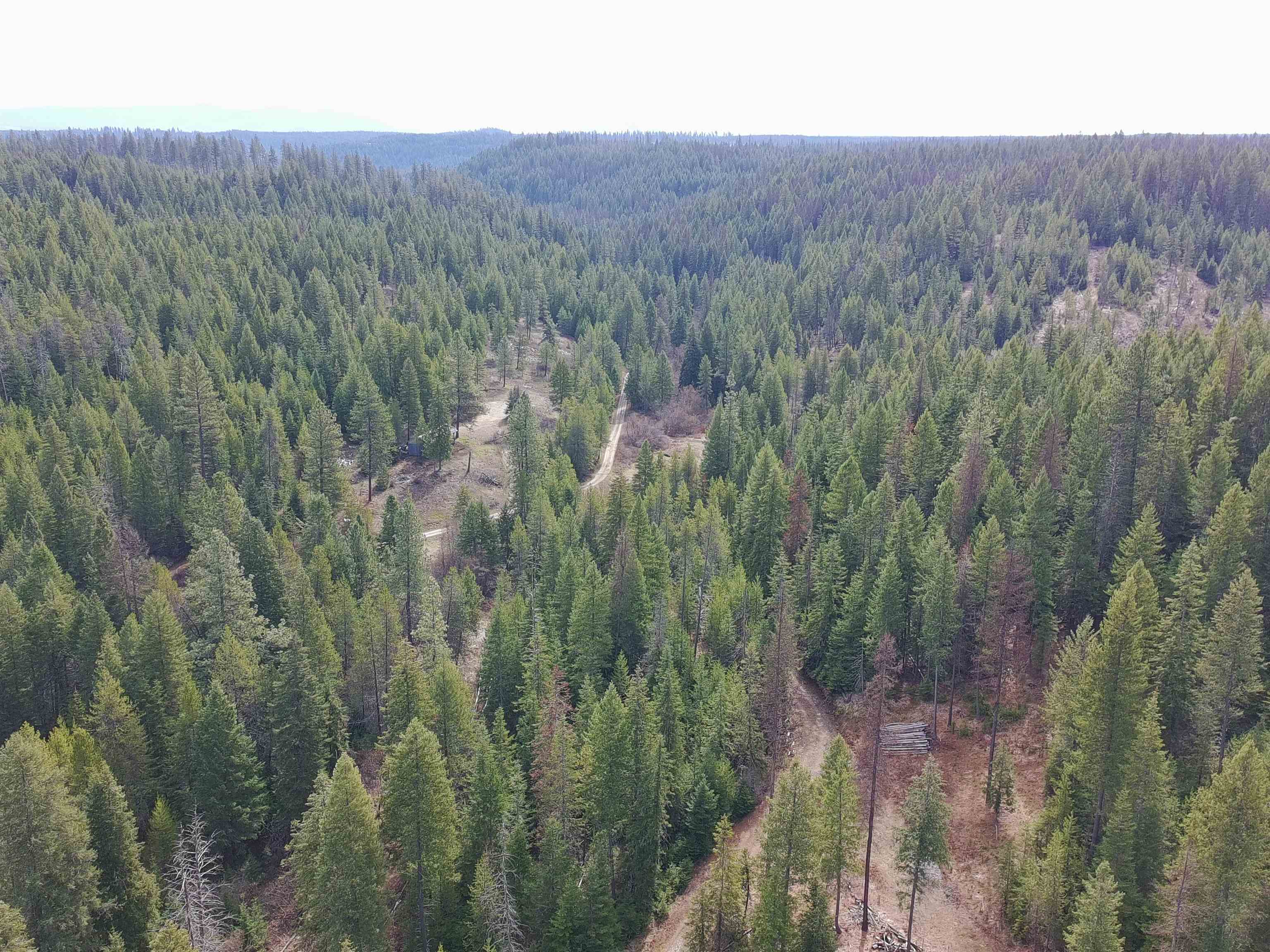 4910 Getna Way Springdale, WA 99173 - Photo 7 of 28
