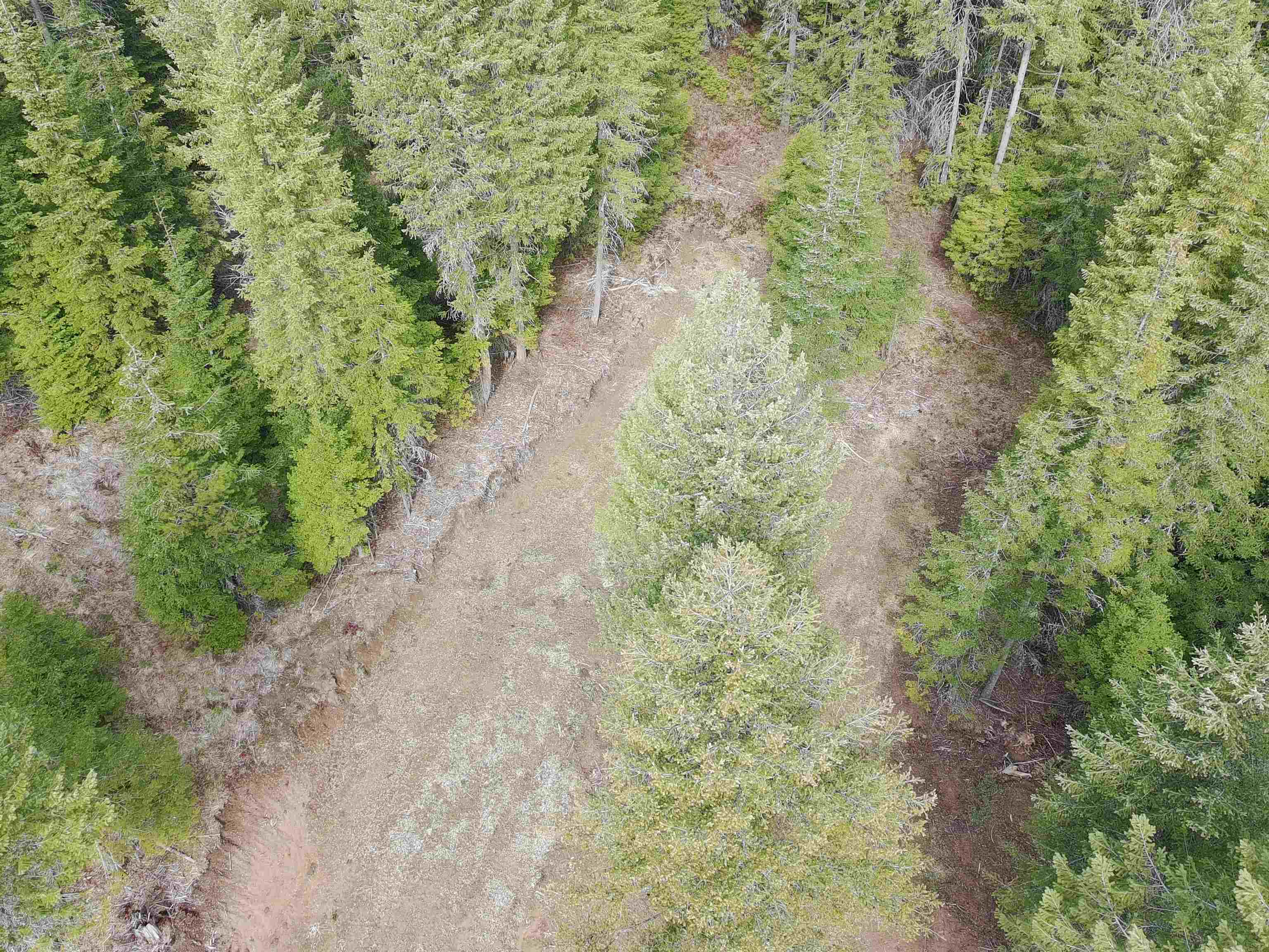 4910 Getna Way Springdale, WA 99173 - Photo 8 of 28