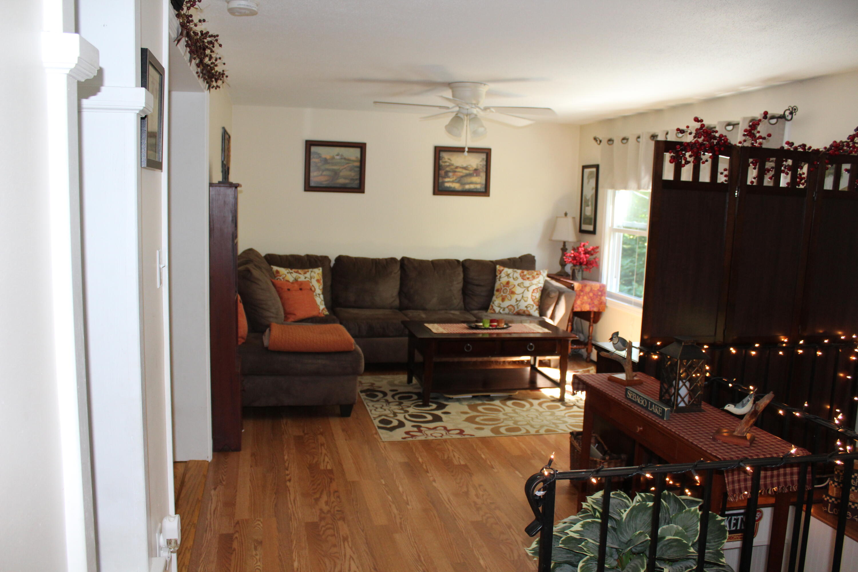 554 Bridgton Road Sebago, ME 04029 - Photo 39 of 83 IMG_4645