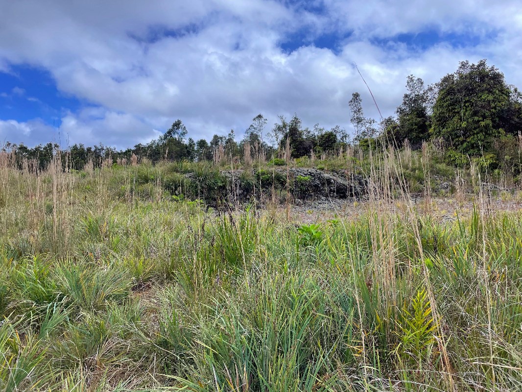 1389 Volcano Road Mountain View, HI 96771 - Photo 3 of 8 a view of lake with green space