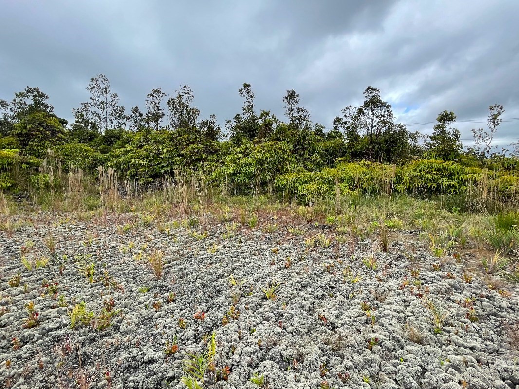 1389 Volcano Road Mountain View, HI 96771 - Photo 5 of 8 a view of a lake