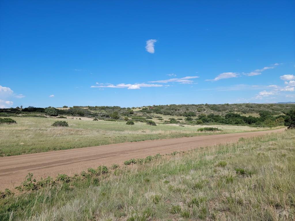 Tbd3 Greenhorn Road Rye, CO 81069 - Photo 5 of 6