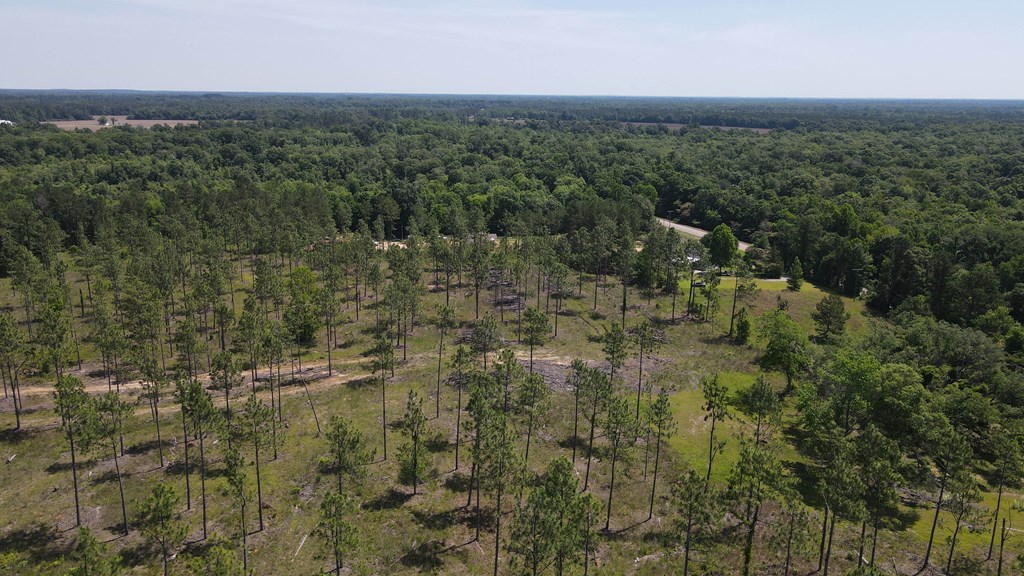 0 State Line Road Cottonwood, AL 36320 - Photo 8 of 27