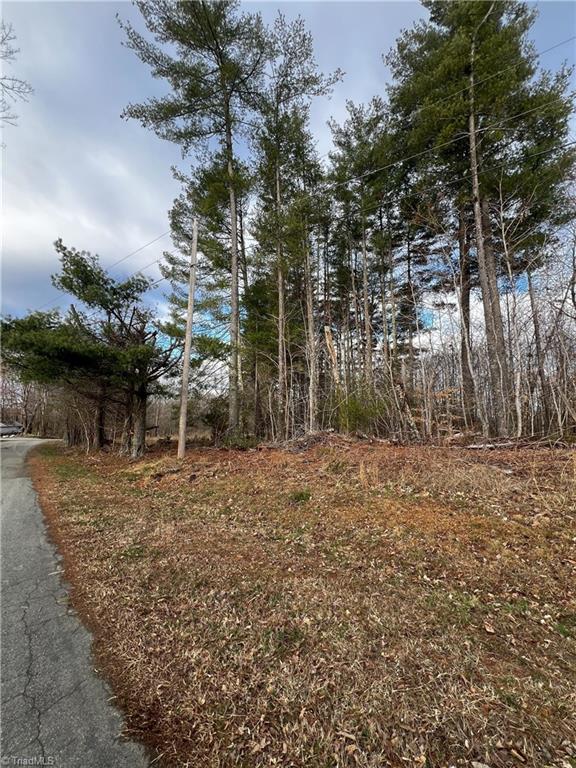 0 Claybrook Road Stoneville, NC 27048 - Photo 4 of 18 Gallery Image 4