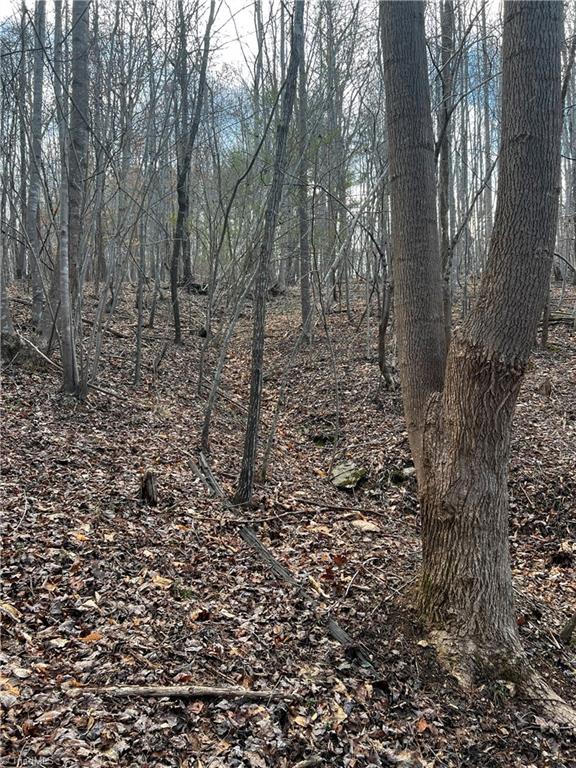 0 Claybrook Road Stoneville, NC 27048 - Photo 5 of 18 Gallery Image 5