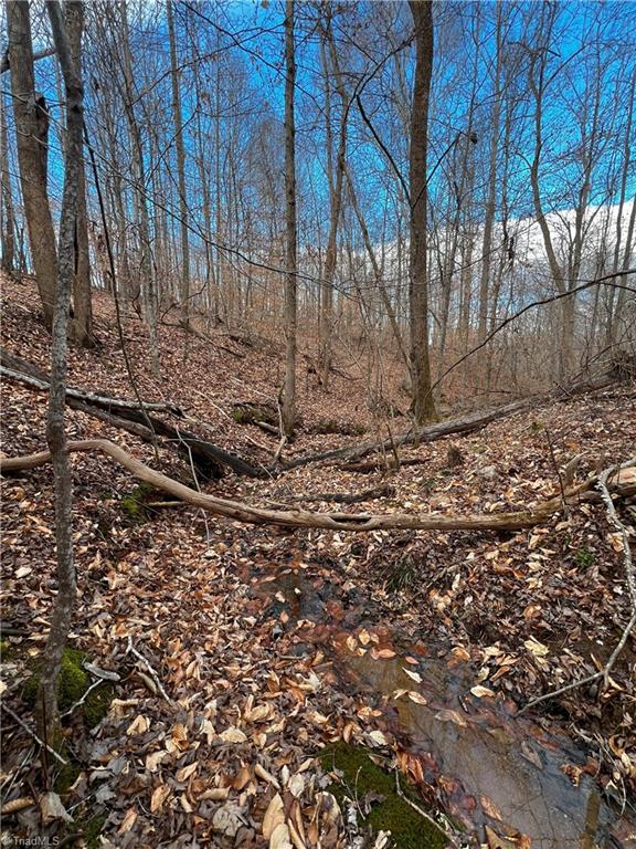 0 Claybrook Road Stoneville, NC 27048 - Photo 6 of 18 Gallery Image 6