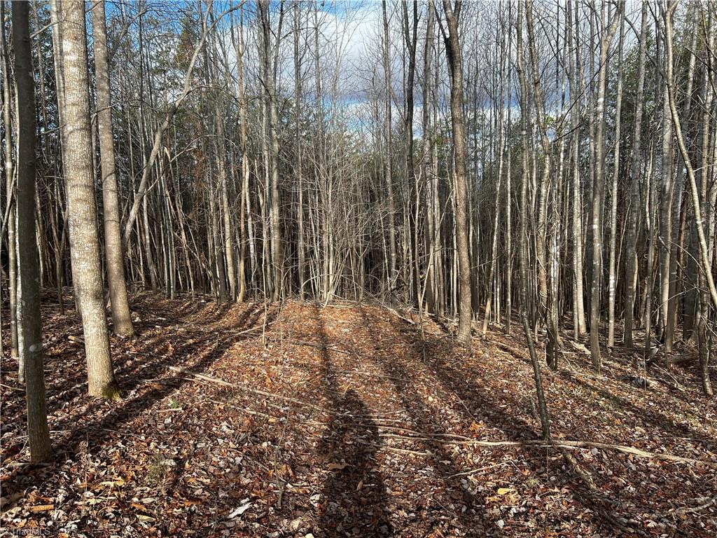 0 Claybrook Road Stoneville, NC 27048 - Photo 8 of 18 Gallery Image 8