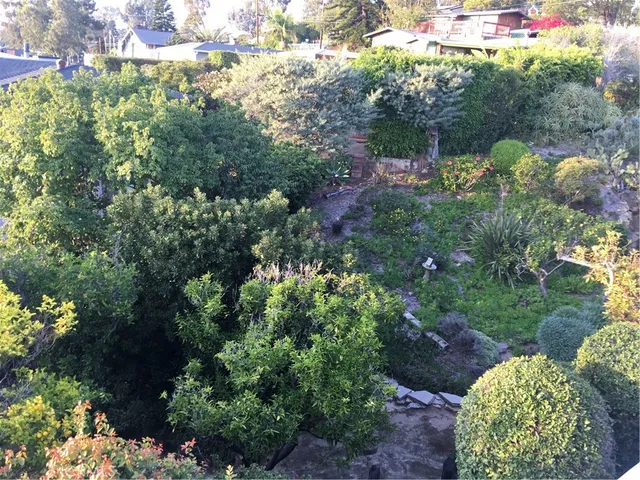 a view of a garden with a tree
