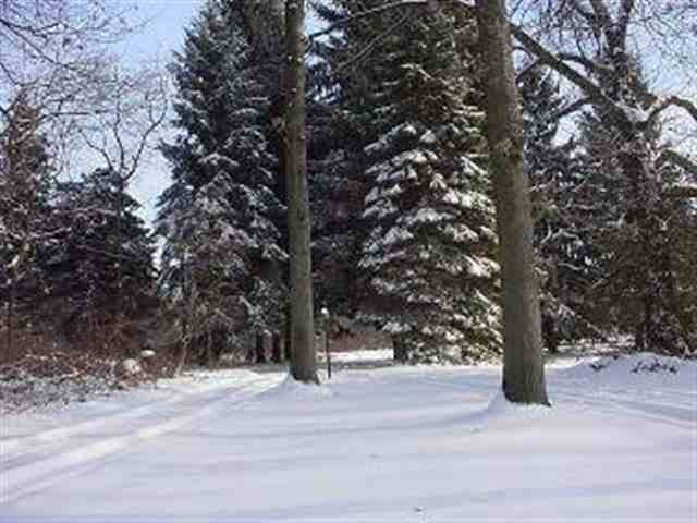 11185 Secor Road Temperance, MI 48182 - Photo 3 of 6 463498-2.JPG