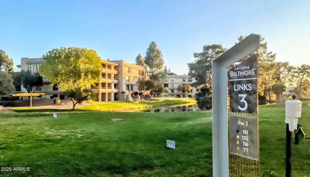 a view of a park with large trees