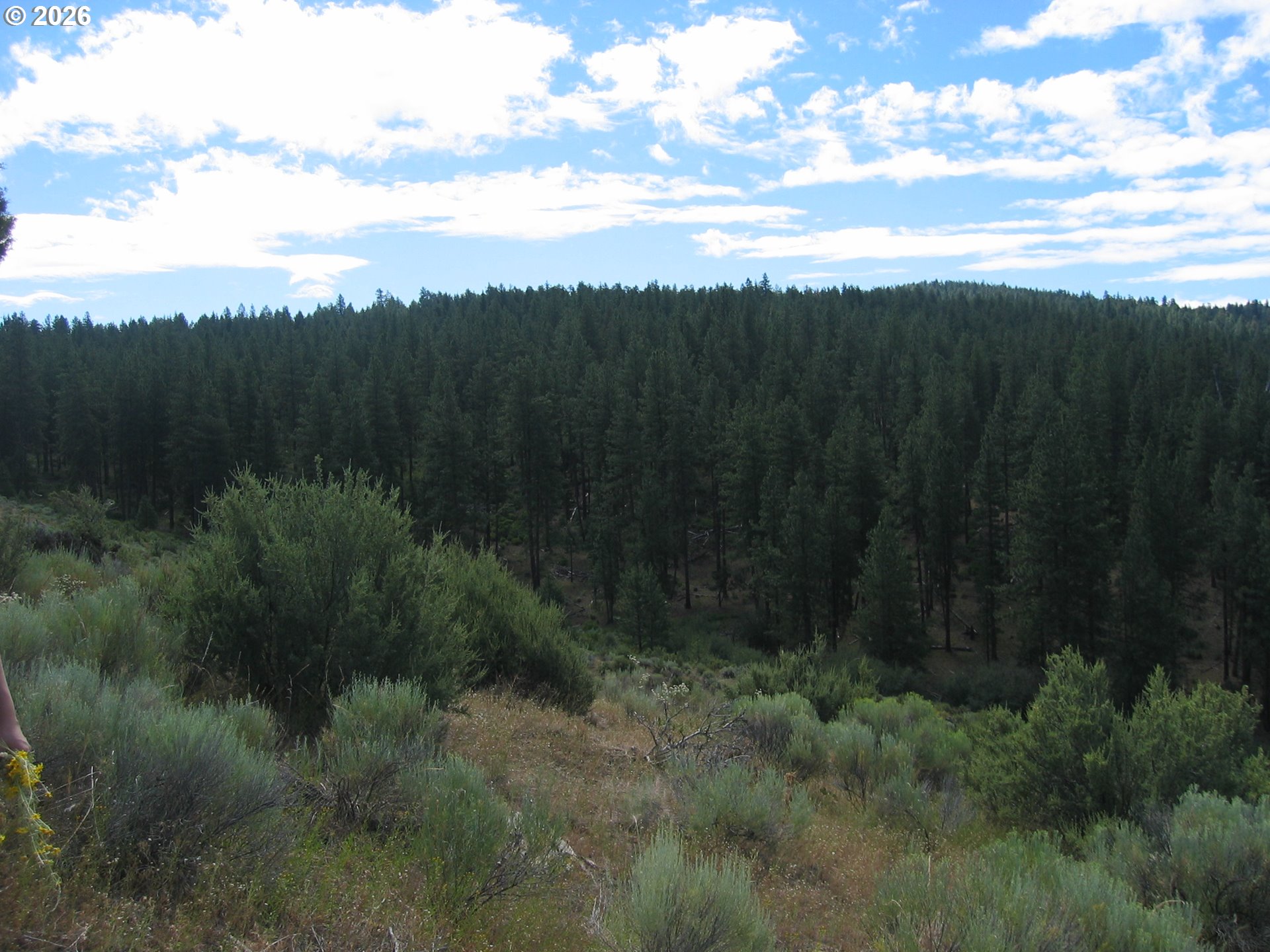 3355 Kircher Road Chiloquin, OR 97624 - Photo 10 of 12