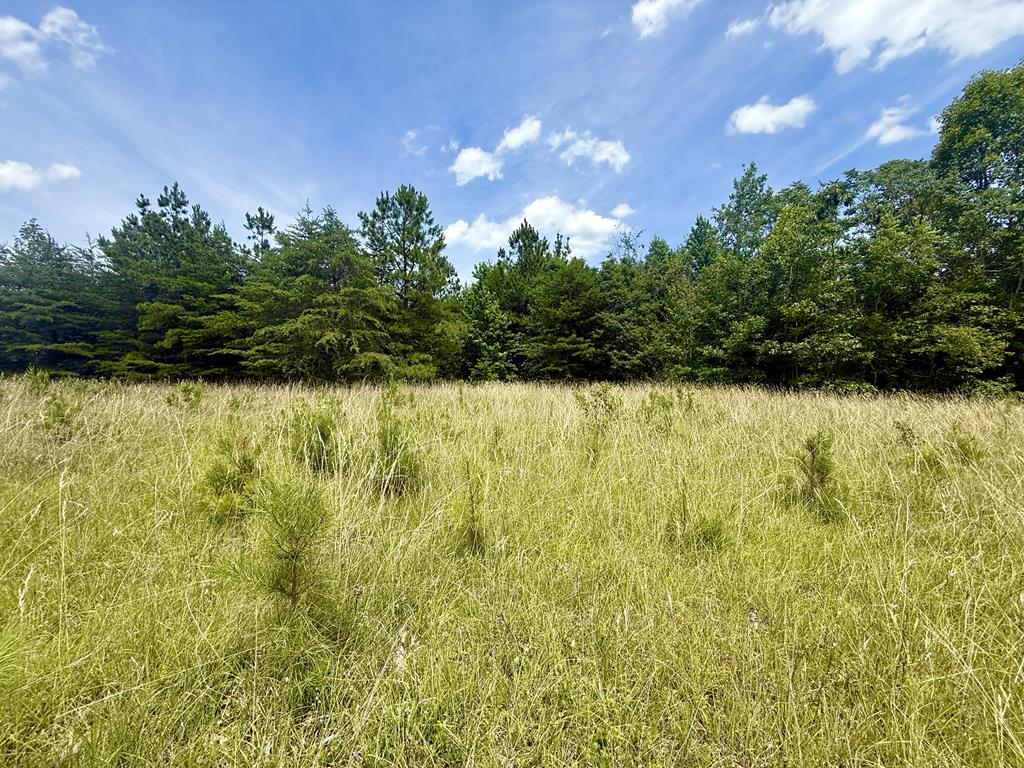 Whispering Wood Road, Unit 25 Meherrin, VA 23954 - Photo 1 of 13 Gallery Image 1