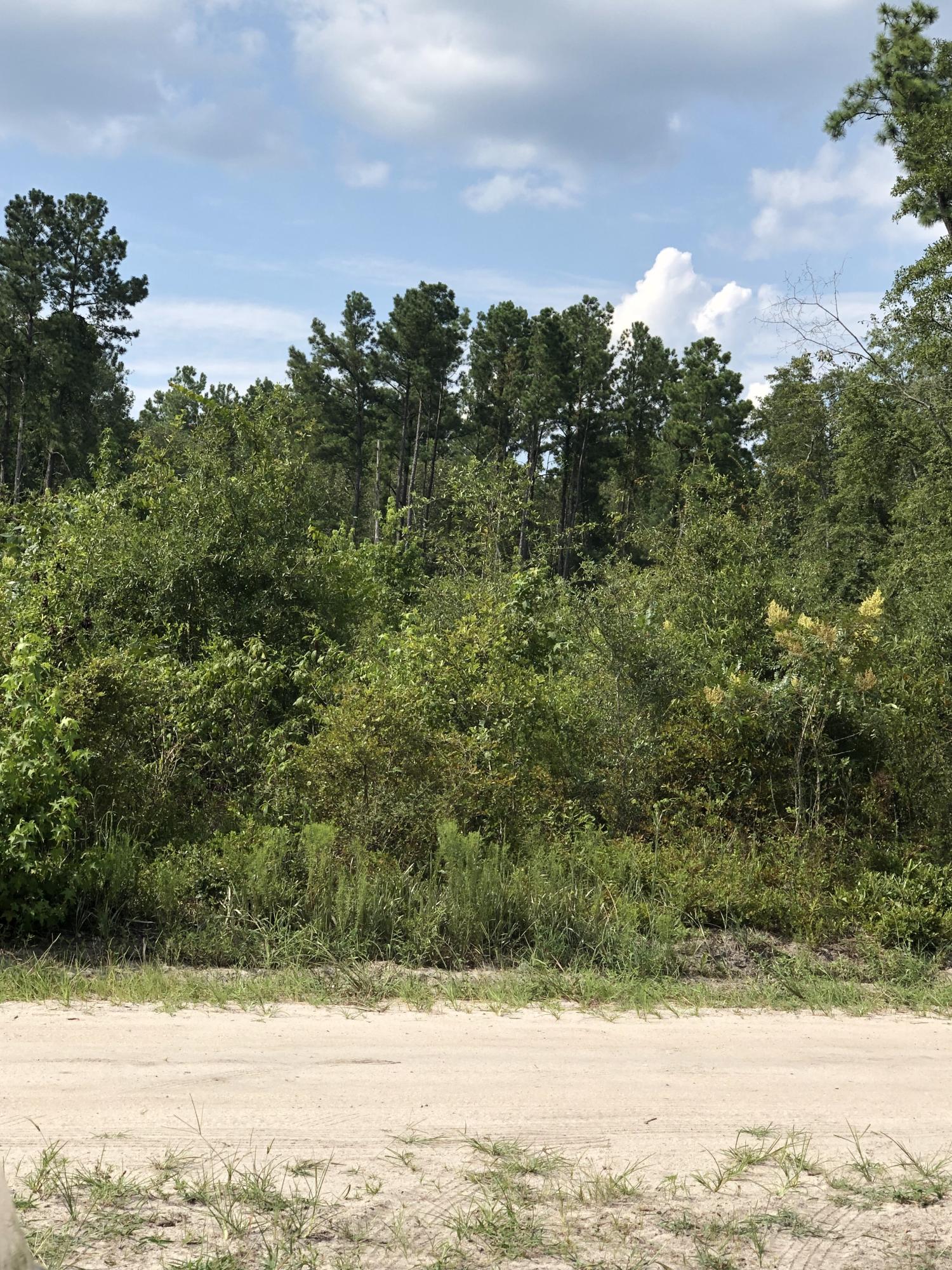 4582 Cannon Road Round O, SC 29474 - Photo 6 of 9 land